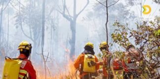 Giro Distrital: emergência climática e combate aos incêndios são destaque desta edição