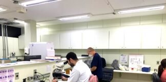 IgesDF divulga dois novos editais de processo seletivo