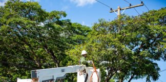 Planaltina, Taguatinga e Lago Sul terão falta de energia nesta segunda (14), para obras
