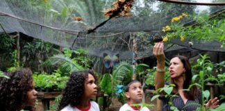 CLDF prestigia educadores da Escola Parque da Natureza de Brazlândia