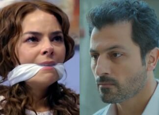 Contigo Sim supera novelas infantis e volta a salvar o SBT; Record vive noite gloriosa