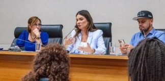 Comissão aprova inclusão da Secretaria de Administração Penitenciária no Fundo de Segurança Pública do DF