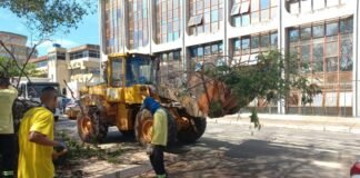 Limpeza das bocas de lobo contribui para evitar alagamentos no Plano Piloto