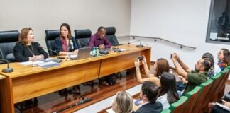 Impacto da dengue é destaque em relatório da Secretaria de Saúde no 1º quadrimestre de 2024