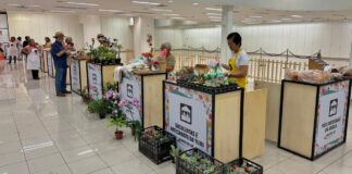 Feira de Mulheres Empreendedoras Rurais vai até este sábado (19)