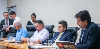 Projeto aprovado na CAF institui o programa Minha Casa Linda