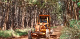 GDF já recuperou 1,2 mil km de vias não pavimentadas, beneficiando 100 mil pessoas
