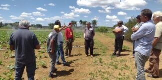 Sessão solene prestigia engenheiros agrônomos nesta segunda-feira (14)