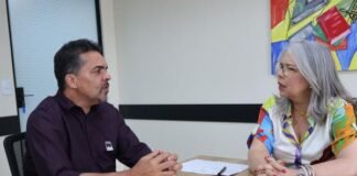 Projeto que permite CILs ofertarem cursos de idioma a distância é apresentado ao GDF