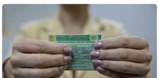 Nova CNH: veja como obter e renovar a habilitação gratuitamente no DF