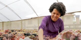 Mulheres que transformam o campo: a força feminina do agronegócio do Distrito Federal