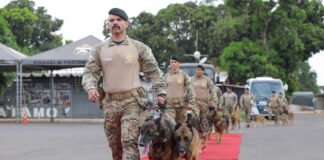 Cães da Polícia Militar do DF recebem homenagem antes de aposentadoria