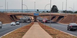 Viaduto do Sudoeste ganhará projeto de paisagismo