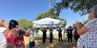 Parque da Cidade tem serviços e atividades de saúde no sábado (19)
