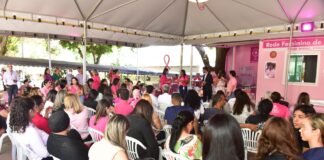 Rede Feminina de Combate ao Câncer oferece exames de mamografia no Outubro Rosa