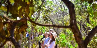 Rainha da Dinamarca visita Parque Jardim Botânico ao lado da vice-governadora Celina Leão