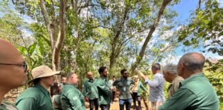 Servidores do Brasília Ambiental conhecem atributos ecológicos do Sítio Geranium em visita guiada