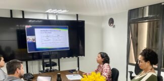 SEI 4.0 entra em operação a partir de 1º de novembro