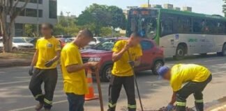 Mutirão promove limpeza de bocas de lobo no Plano Piloto