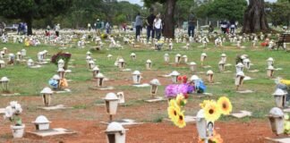 Cemitérios do Distrito Federal devem receber 600 mil visitantes no Dia de Finados