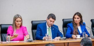 Pareceres parciais do PLOA 2025 são aprovados na CEOF