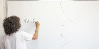 Educação do DF reforça regras para afastamento preventivo de professores substitutos