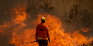 Brigadistas voluntários de incêndios são homenageados em sessão solene