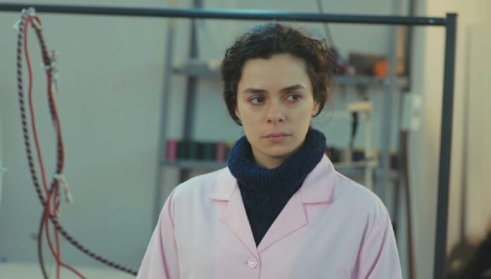 1_forca-de-mulher-record.jpg