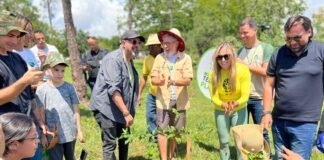 II Seminário Dia de Plantar: Aprenda a deixar o DF mais verde