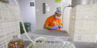 Resultado de pesquisa sobre ambiente empresarial na capital será divulgado nesta quinta (28)