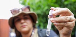 Novo aplicativo reforça combate à dengue com mapeamento de focos do Aedes aegypti no DF