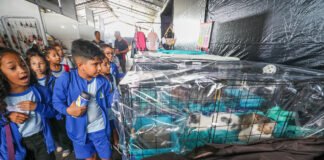 Estudantes da rede pública aprendem sobre cuidado com animais em feira pet, no Parque da Cidade