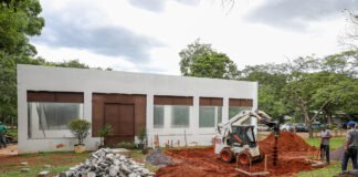 Reforma do Museu de Ciências Naturais do Zoológico de Brasília entra na fase final