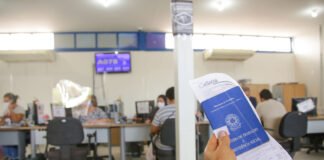 DF tem saldo positivo de 45 mil vagas de emprego formais criadas em 2024 e lidera no Centro-Oeste