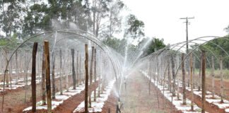 GDF passa de 100 km de canais de irrigação com inaugurações em Planaltina