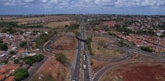 Cultura, economia e tecnologia: Rota do Zebu conecta presente e futuro da pecuária mineira