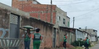 Santa Maria recebe ação de conscientização sobre coleta seletiva e combate à dengue