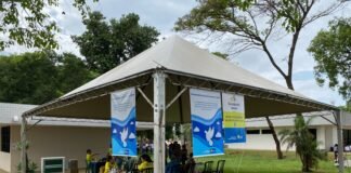 Cemitérios do DF receberam mais de 600 mil visitantes no feriado de Finados