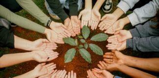 Educação ambiental incentiva alunos na proteção do Cerrado