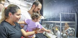Feira no Parque da Cidade alerta para os cuidados de prevenção do câncer em cães e gatos