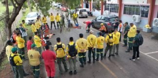 Servidores do Brasília Ambiental participam de curso de operação de motosserras do CBMDF