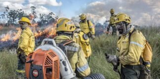 Fórum discute prevenção e combate a incêndios florestais