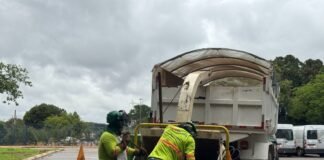 Operação dá destinação correta a resíduos verdes no DF; saiba como funciona