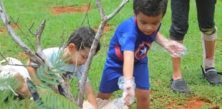Dia de Plantar promove mobilização em prol do Cerrado com ações simultâneas em parques do DF