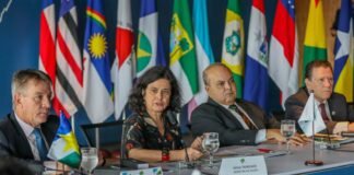 Governadores pedem reforço de campanha nacional de combate à dengue