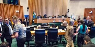 Distritais aprovam proposições que beneficiam bebês, crianças e seus pais