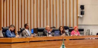 Audiência pública debate avanços e desafios dos Conselhos Tutelares