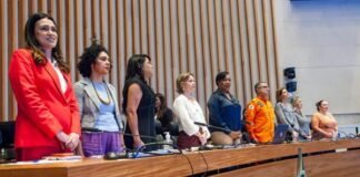 Solenidade na Câmara Legislativa debate integração de políticas afirmativas para enfrentar a violência contra a mulher