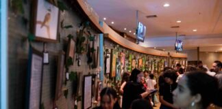 Exposição do polo de Altas Habilidades de Ceilândia celebra conquistas dos alunos em 2024