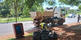 Mutirão promove retirada de lixo verde em quadras do Plano Piloto